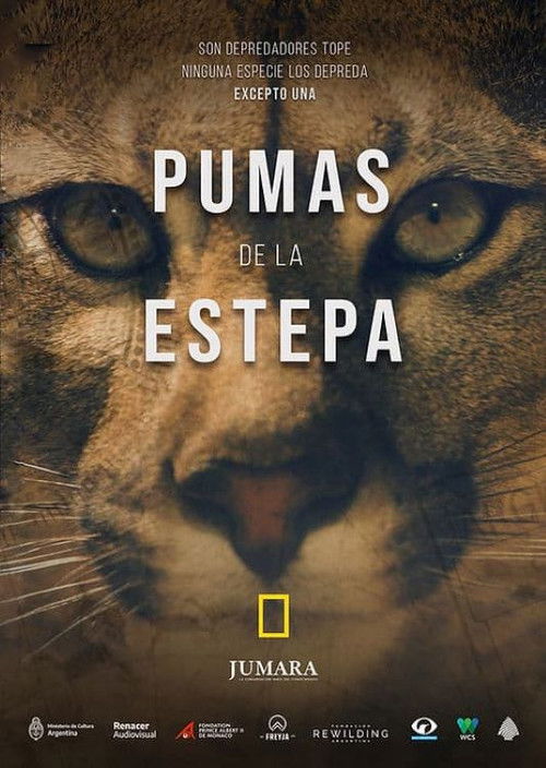 Pumas de la estepa