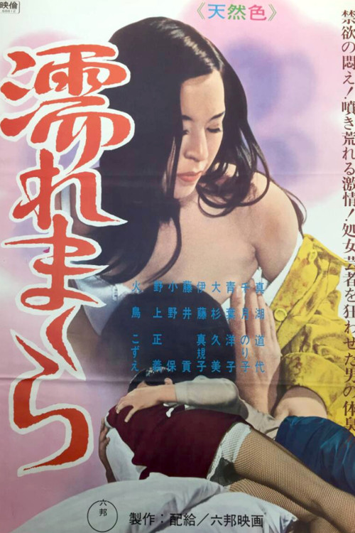 The Secret Story of the Onsen Geisha: Wet Pillow