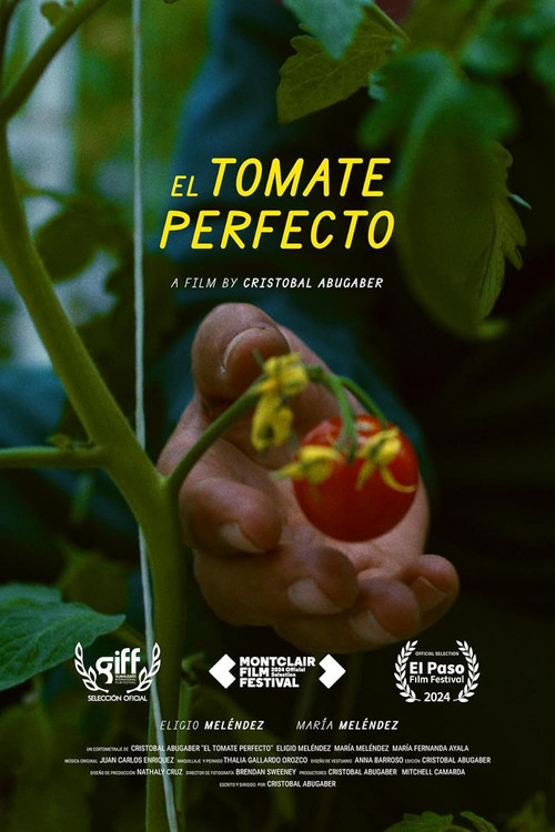 The Perfect Tomato