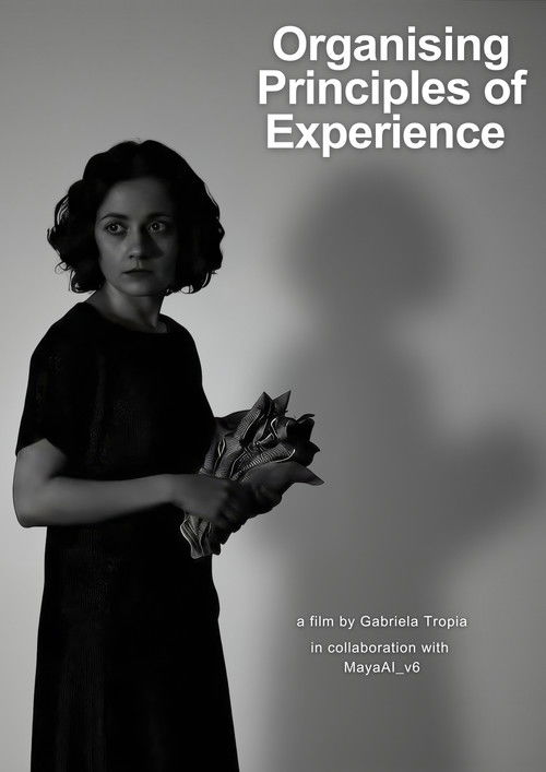 Organising Principles of Experience