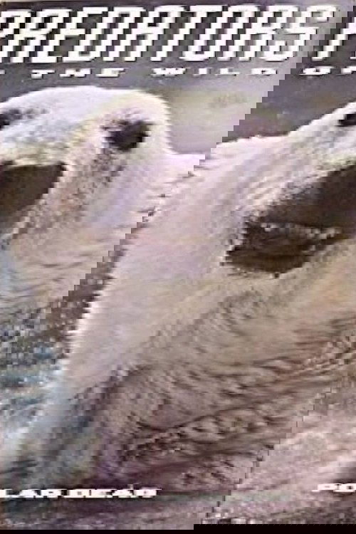 Predators of the Wild: Polar Bear