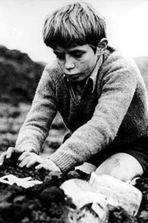 Photo of Stephen Archibald