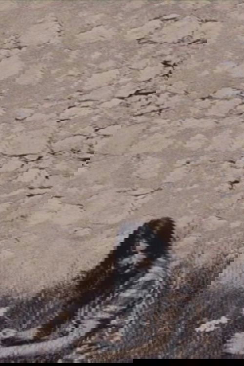 Différences et répétitions III