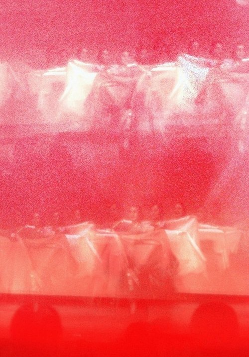 the revenant princess