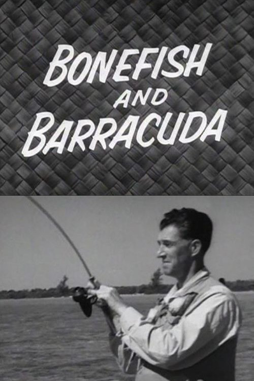 Bonefish and Barracuda
