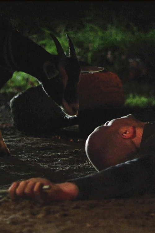 Goatman of Kananaskis