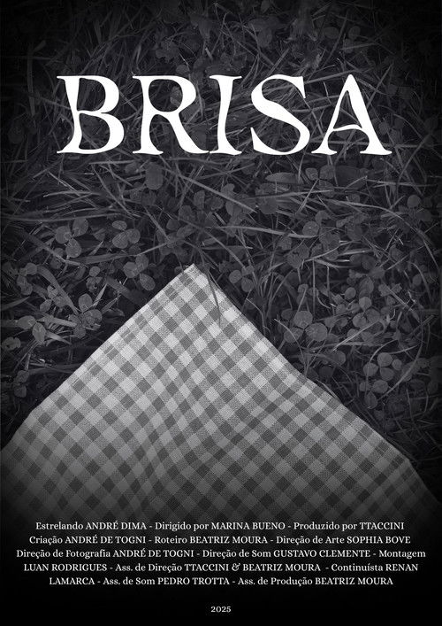 Brisa