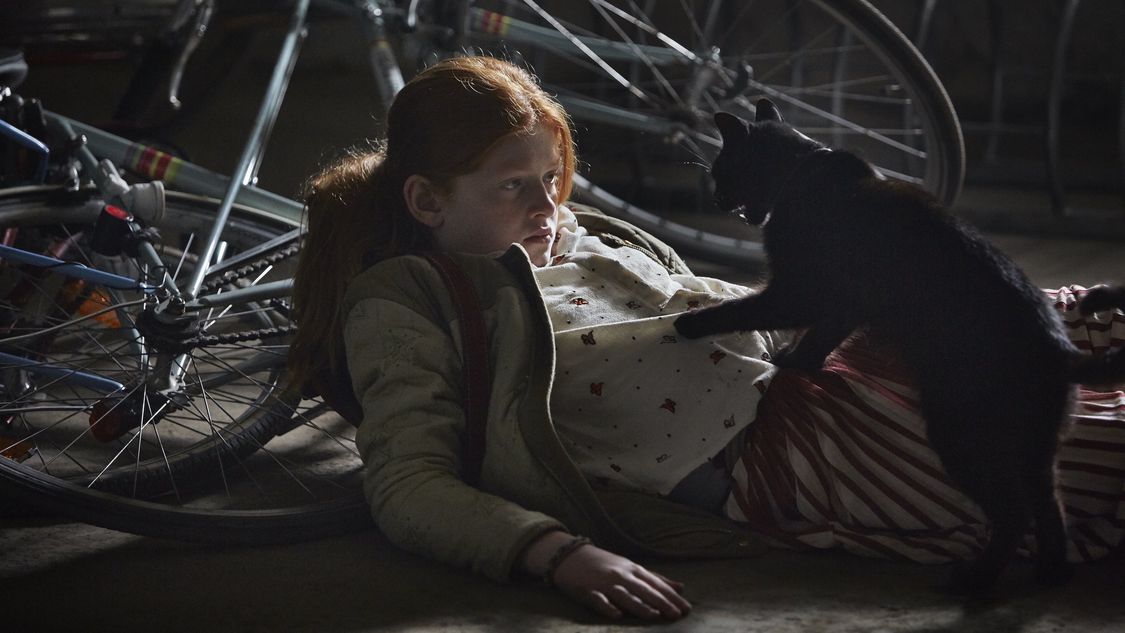 Backdrop for Wildwitch