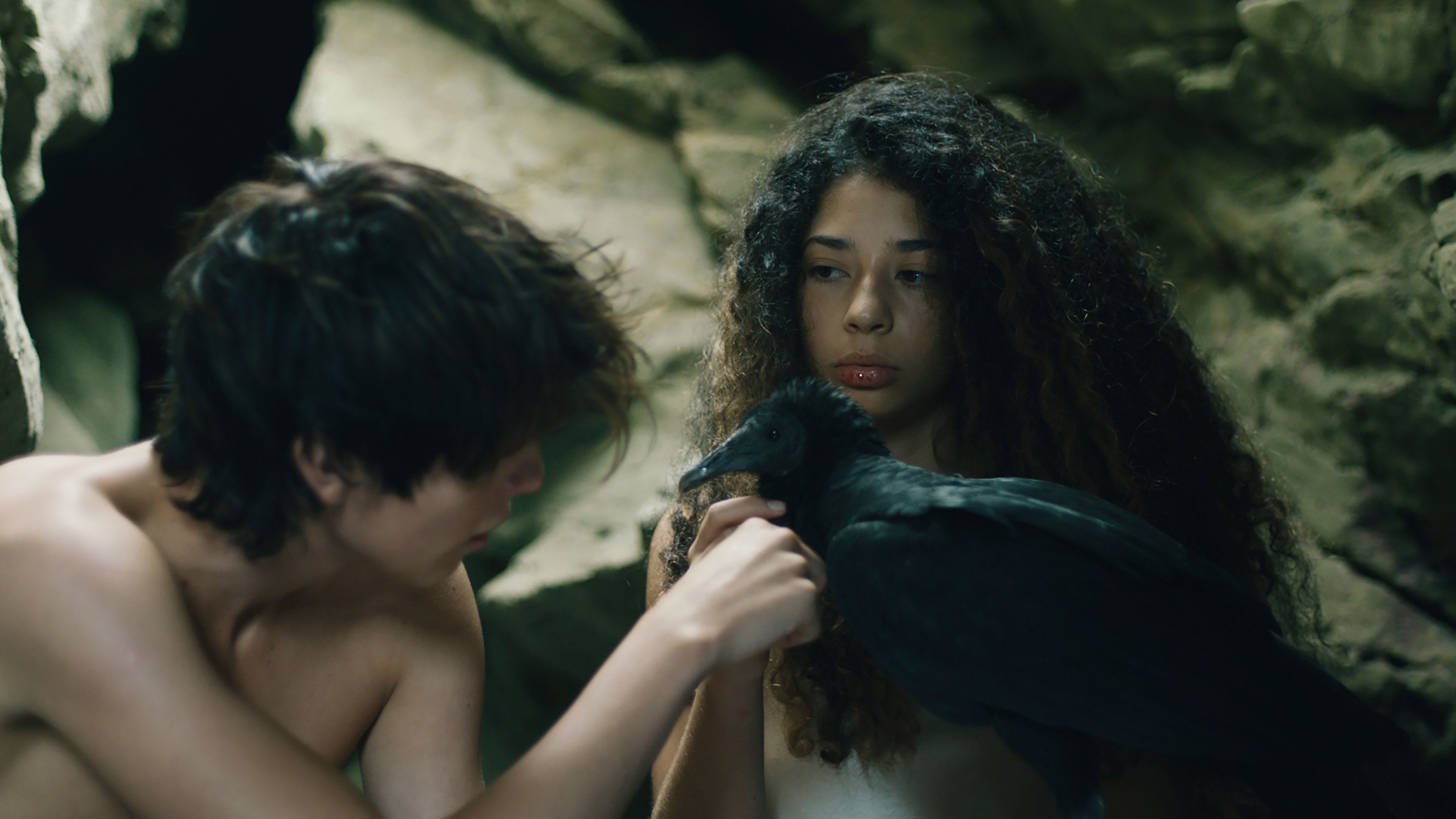 Backdrop for Octopus Skin