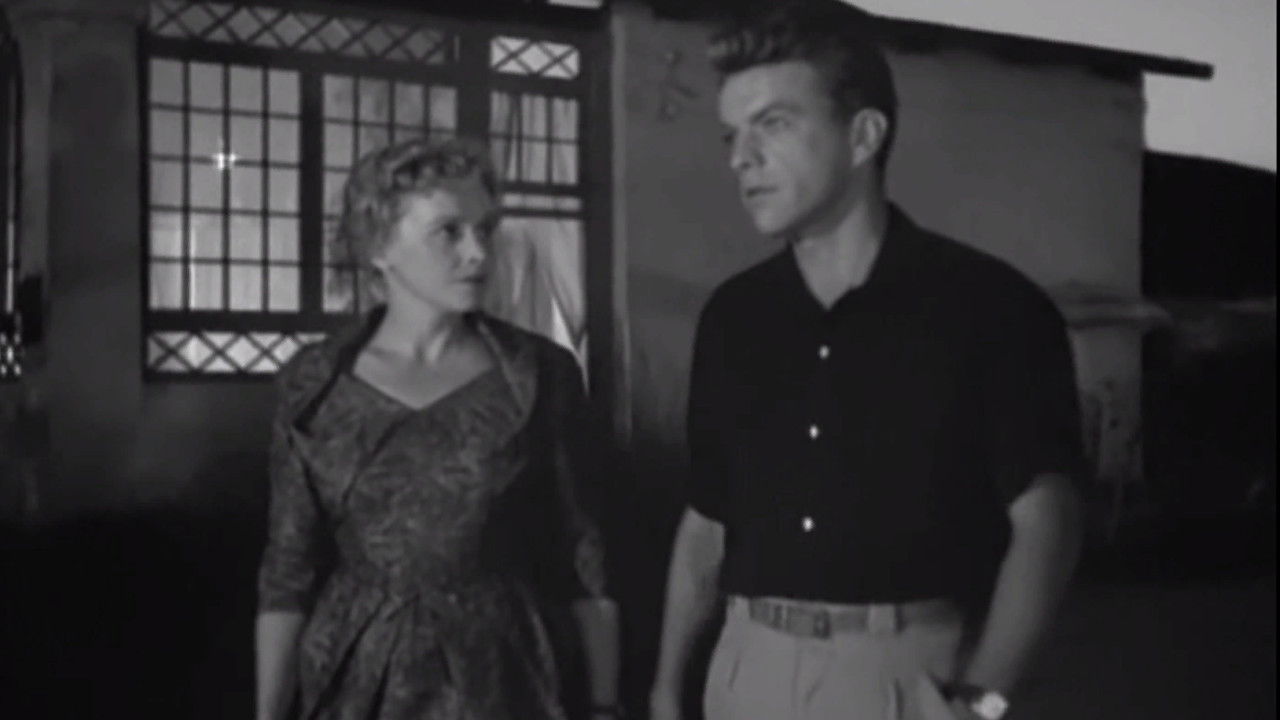 Backdrop for The Barrier of Uncertainty