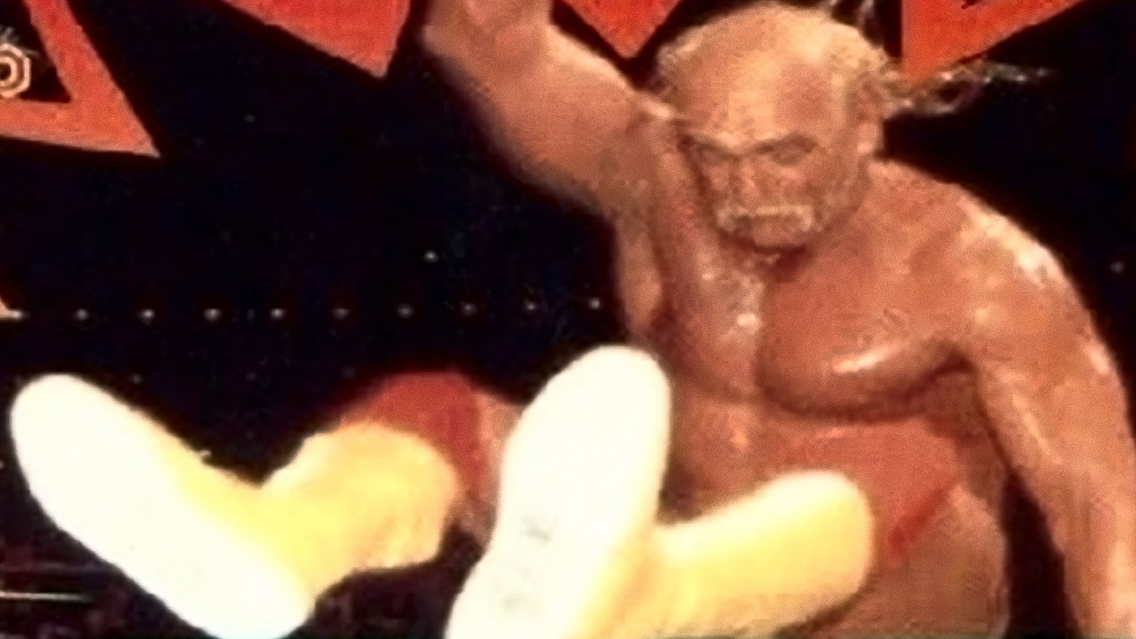 Backdrop for WCW Fall Brawl 1995