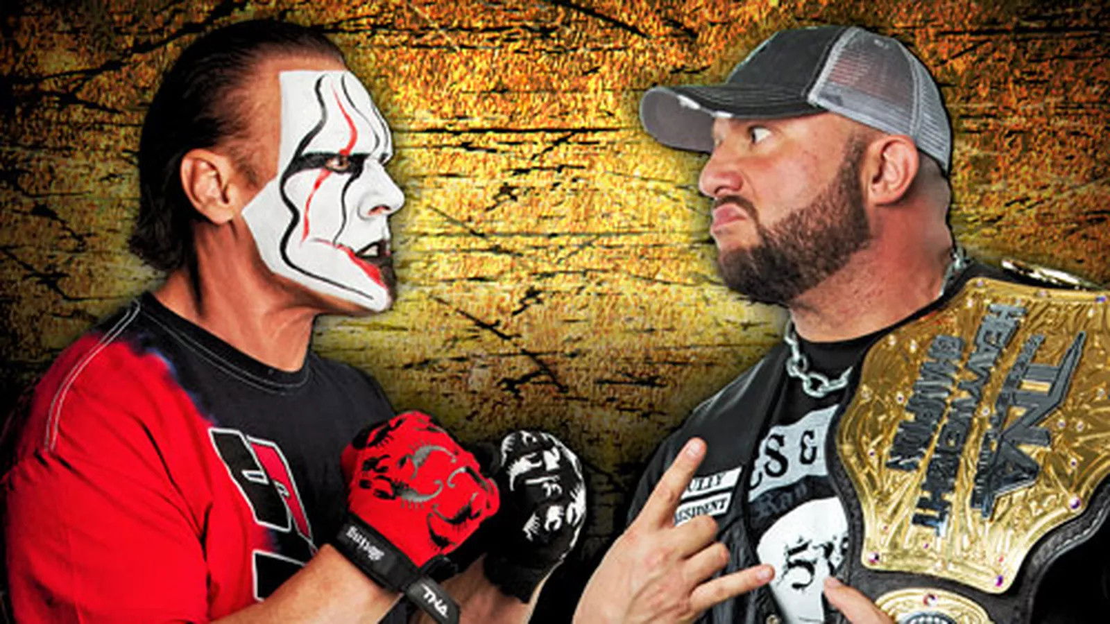 Backdrop for TNA Slammiversary XI