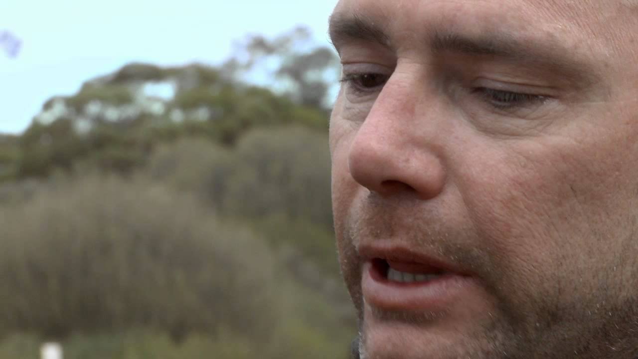 Backdrop for The Ride