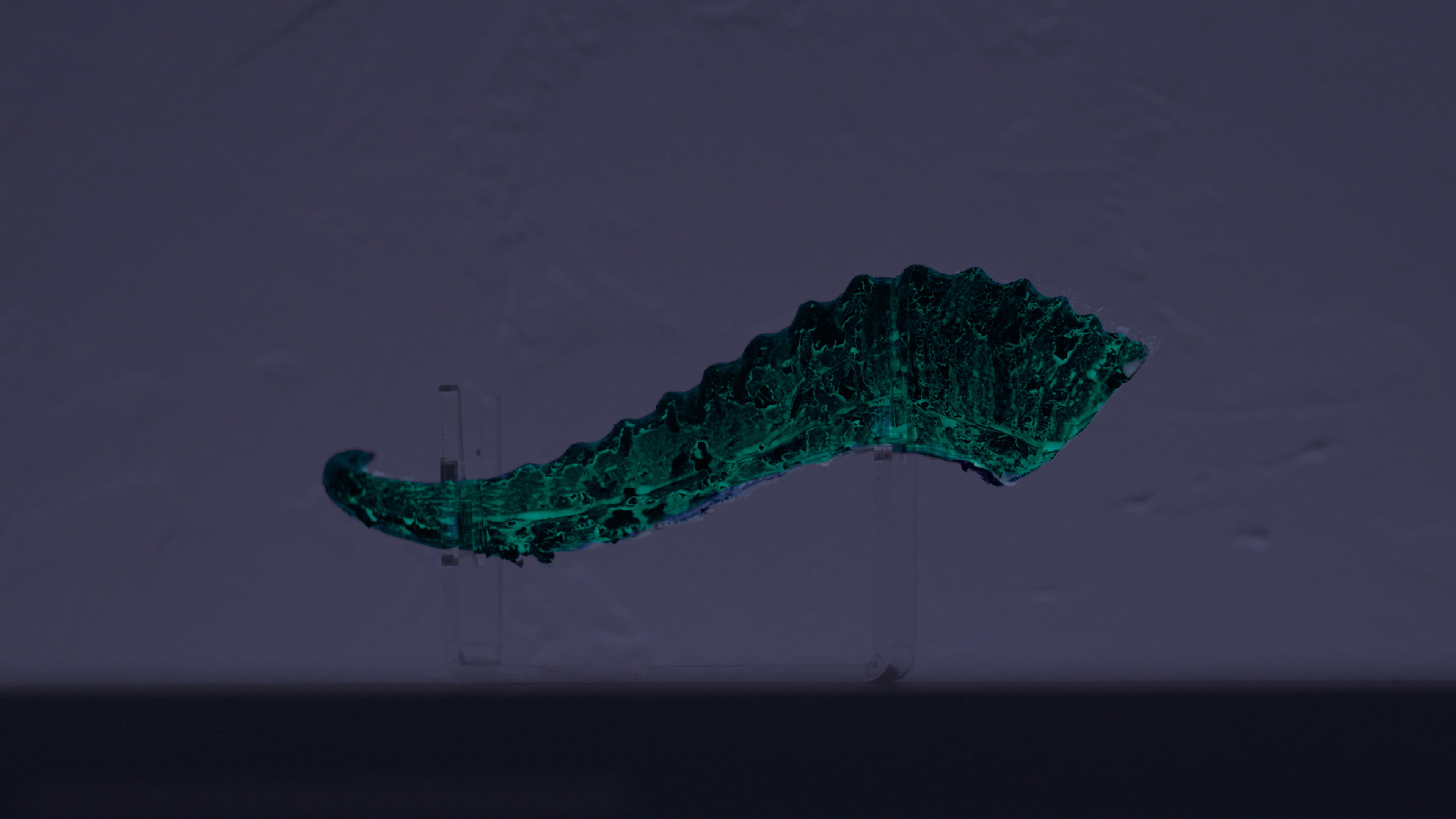 Backdrop for Whispers