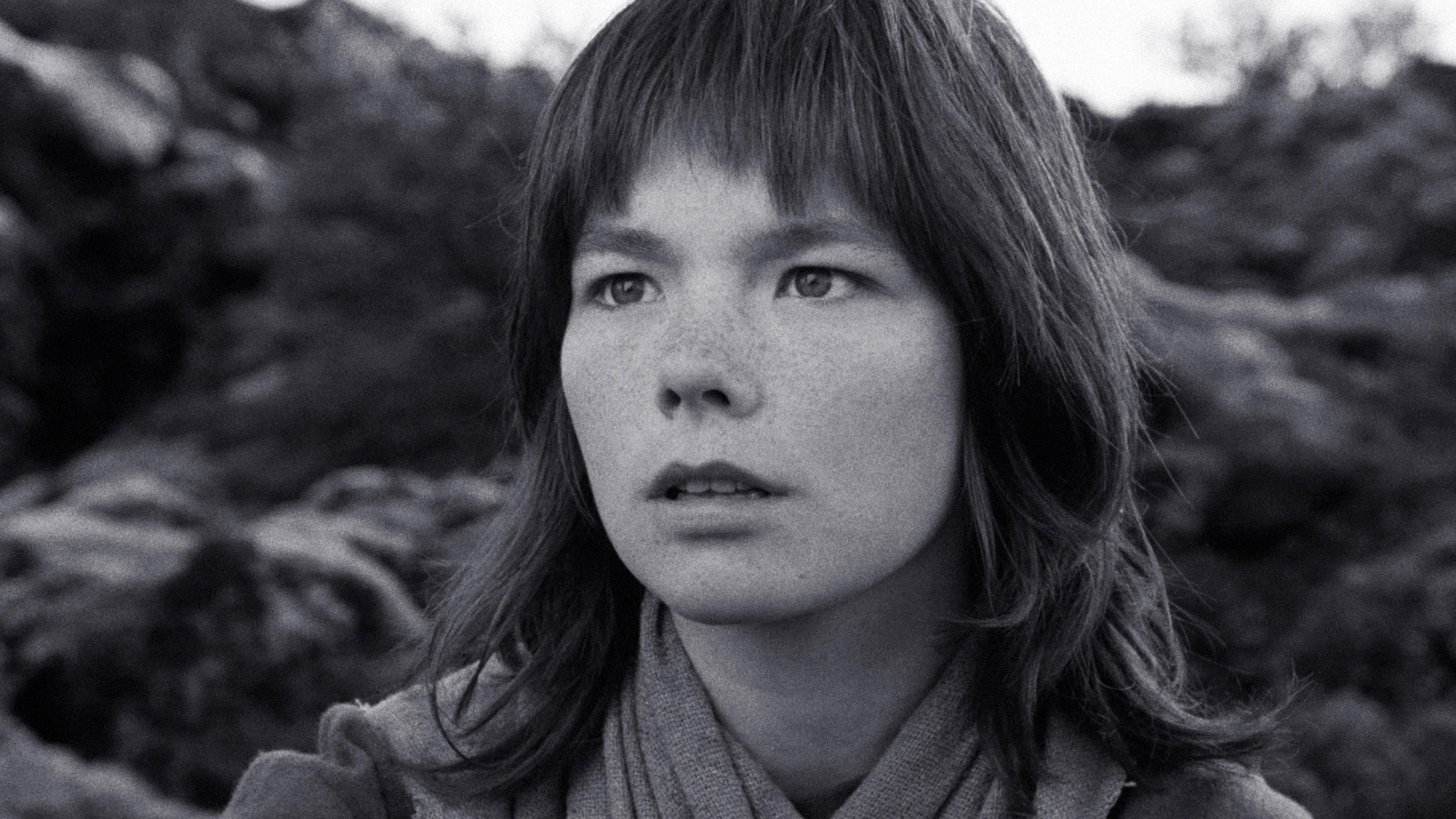 Backdrop for The Juniper Tree