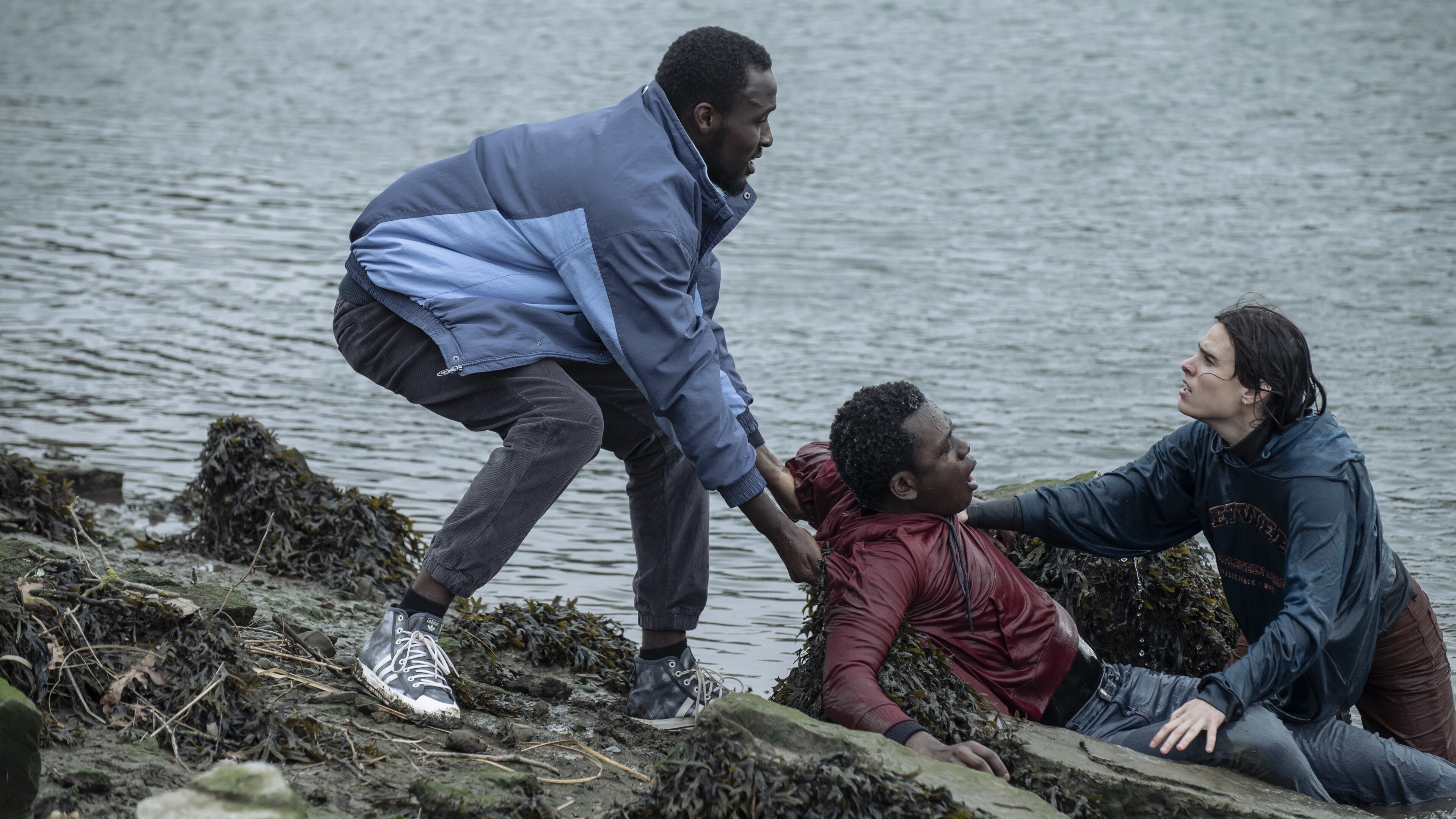 Backdrop for Pheasant Island