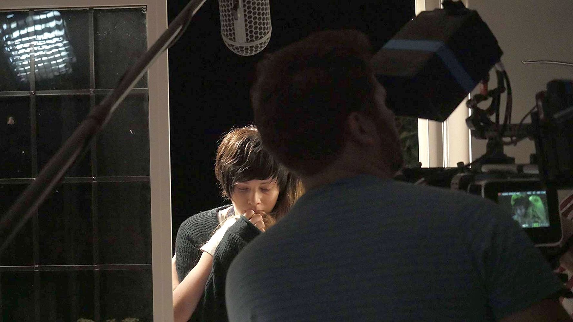 Backdrop for Cat Skin