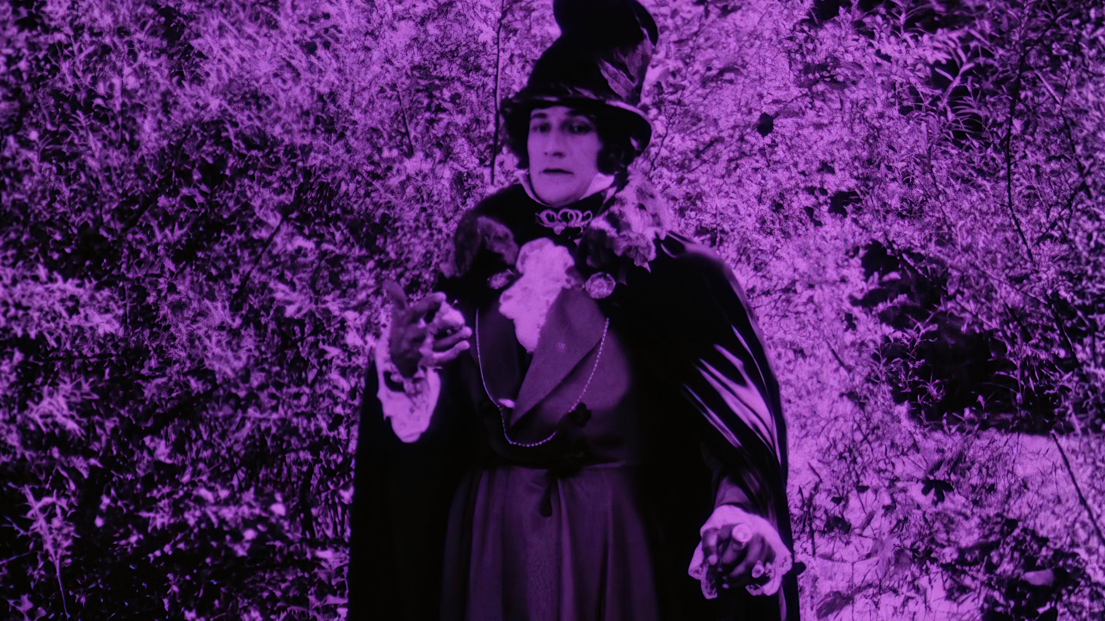 Backdrop for The Adventures of Robert Macaire