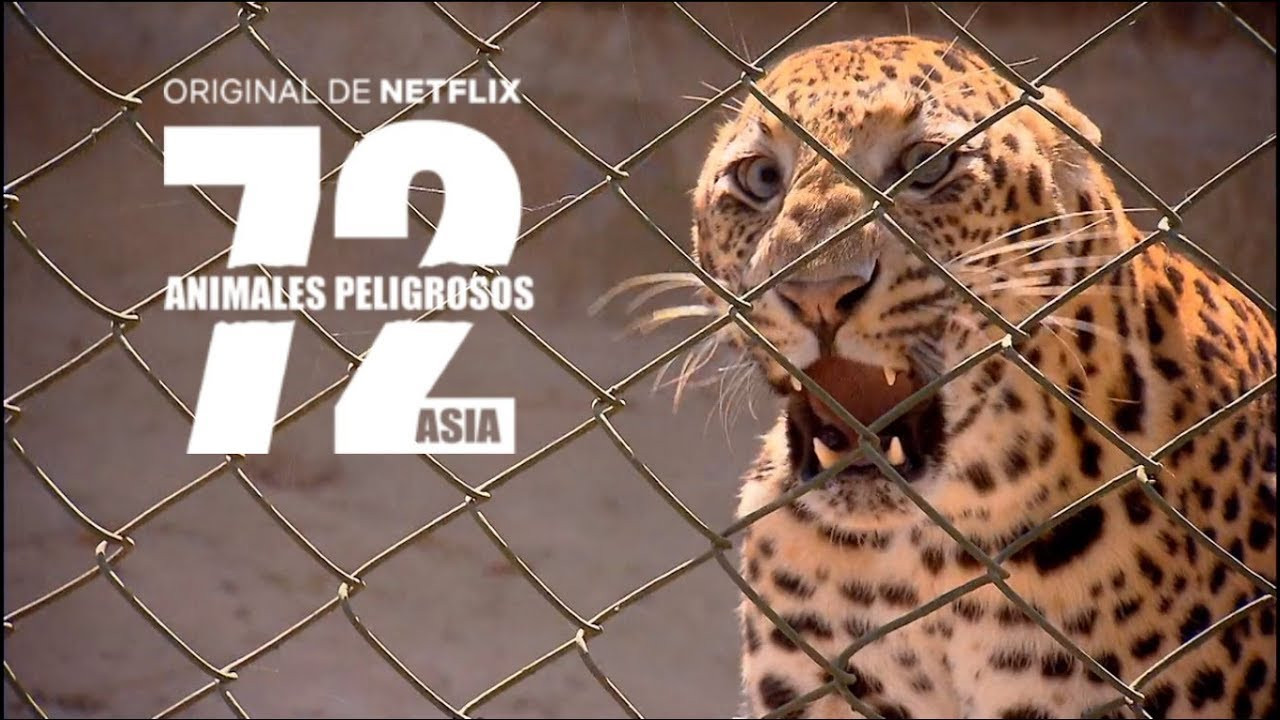 Backdrop for 72 Dangerous Animals: Asia
