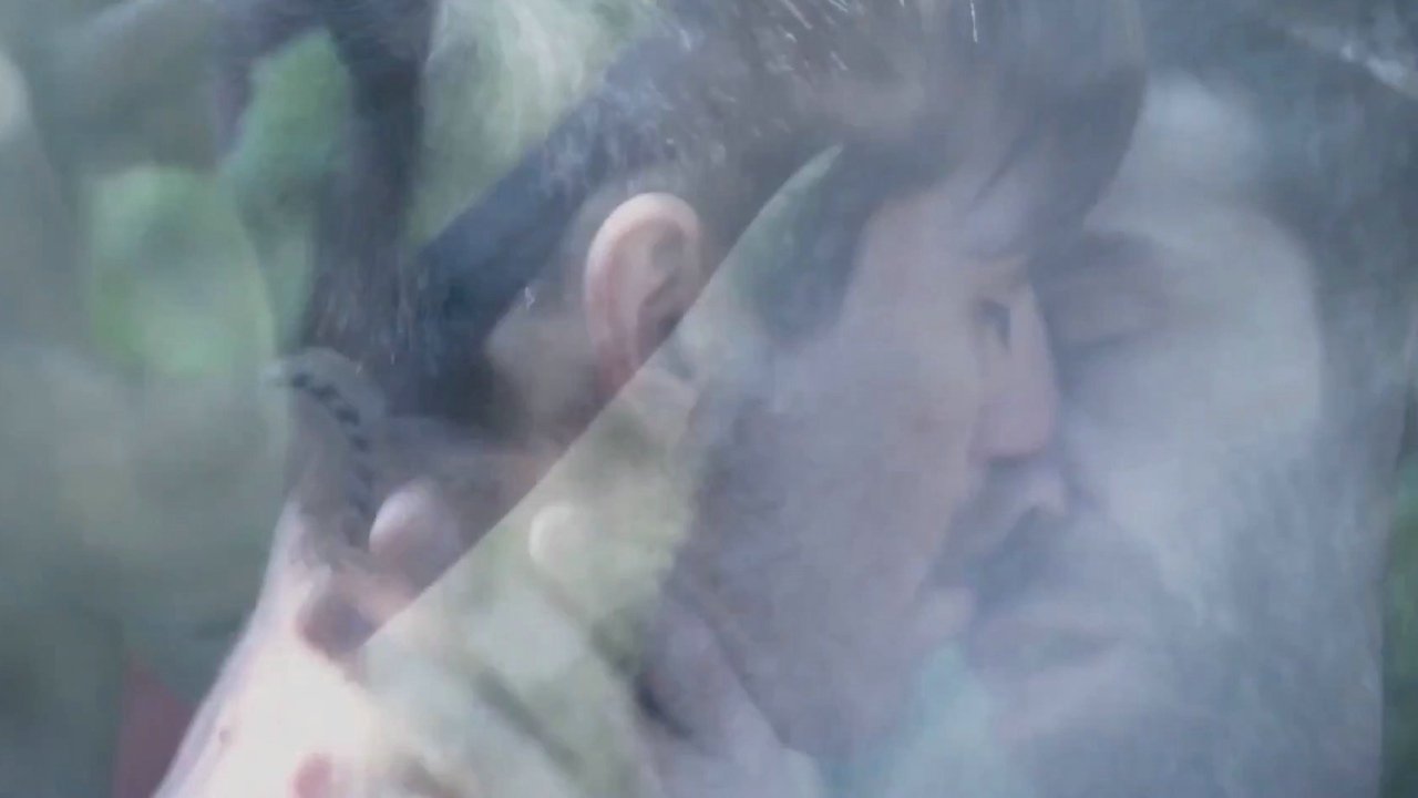 Backdrop for The Dilemma