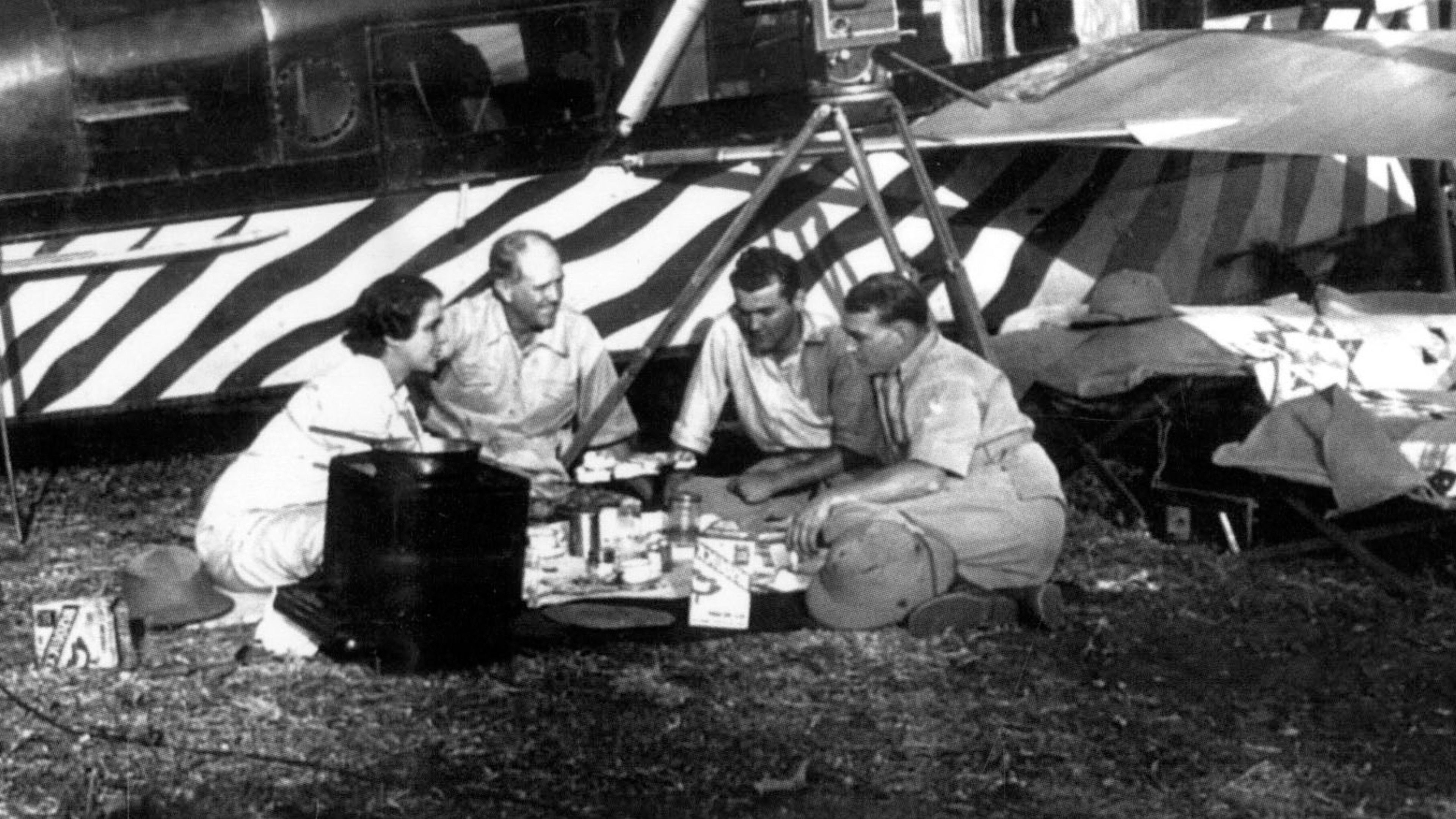 Backdrop for Baboona