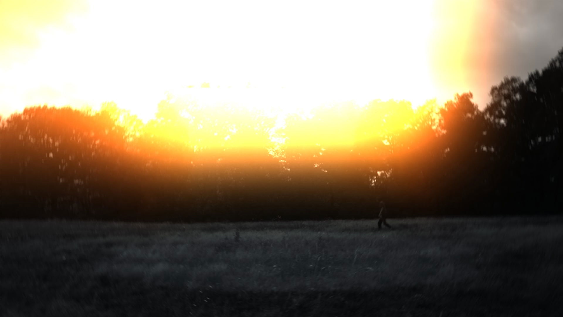 Backdrop for Black Hope 2