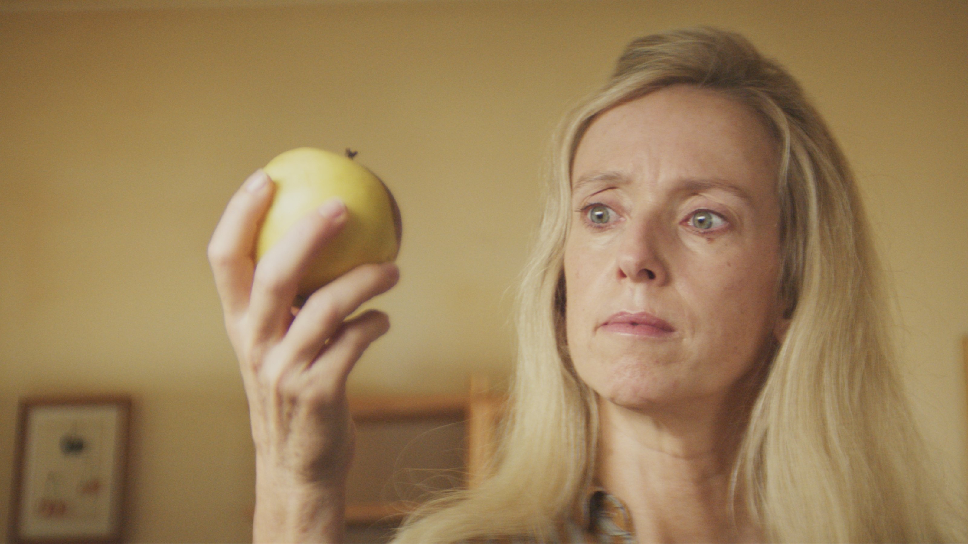 Backdrop for Incredible But True