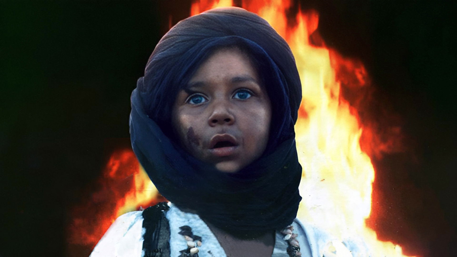 Backdrop for The Desert Ark