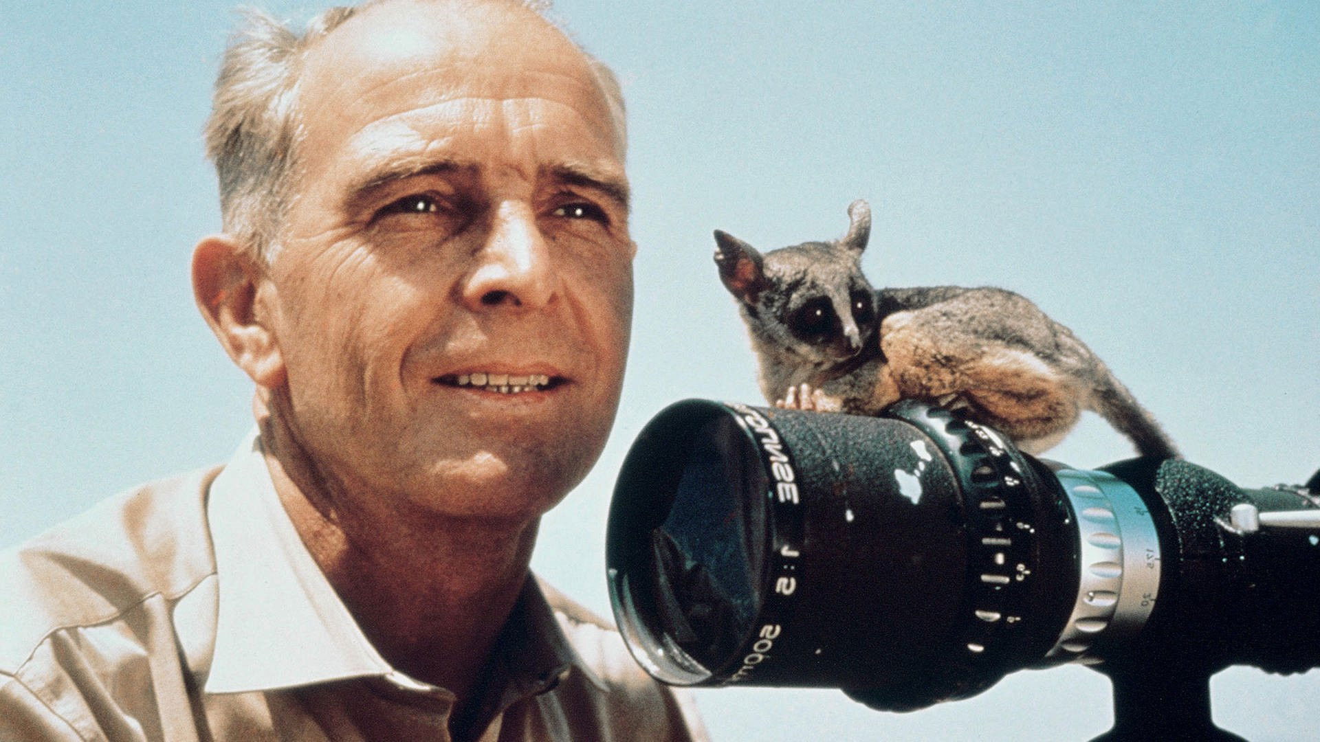 Backdrop for Serengeti Shall Not Die