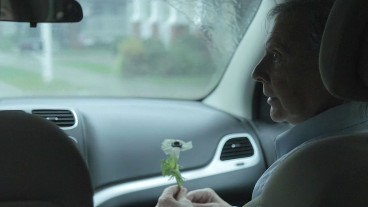 Backdrop for After Yesterday