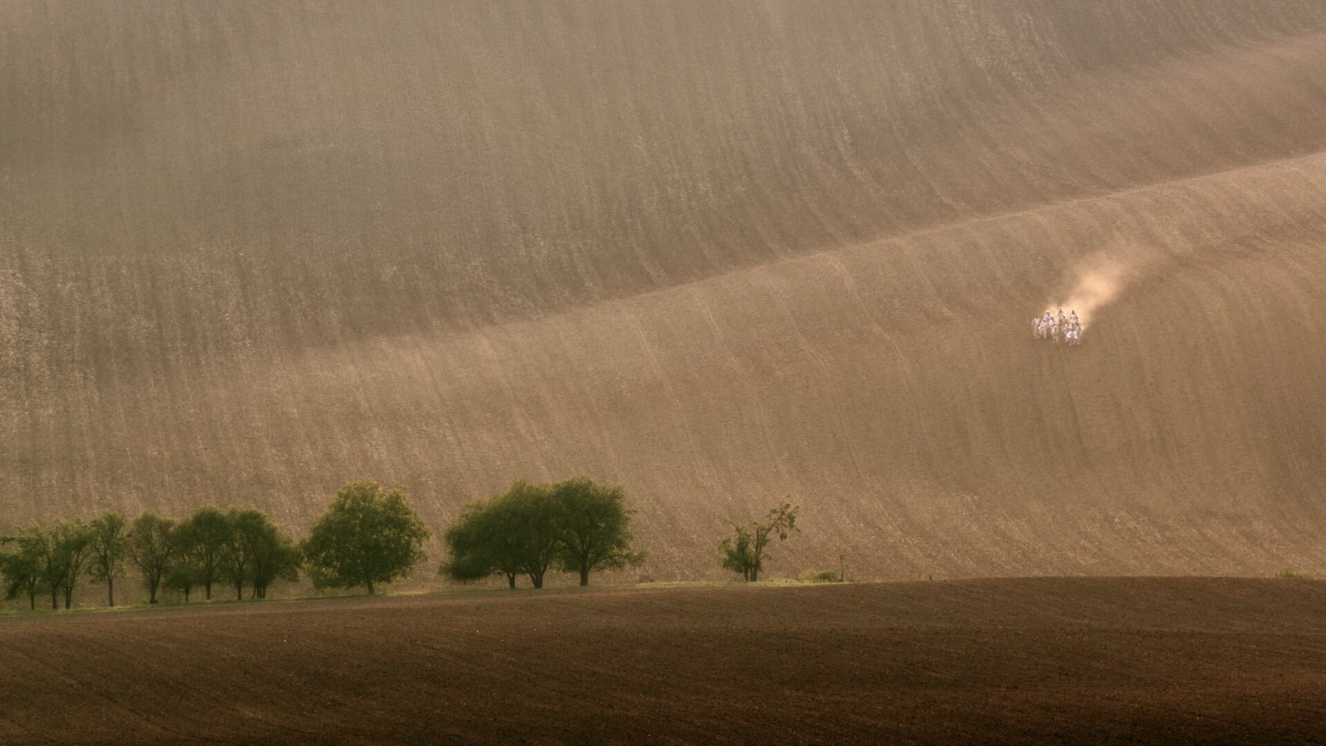Backdrop for Fibonacci
