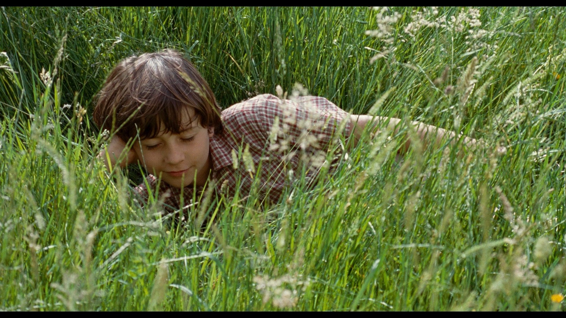 Backdrop for The Field of Enchantment