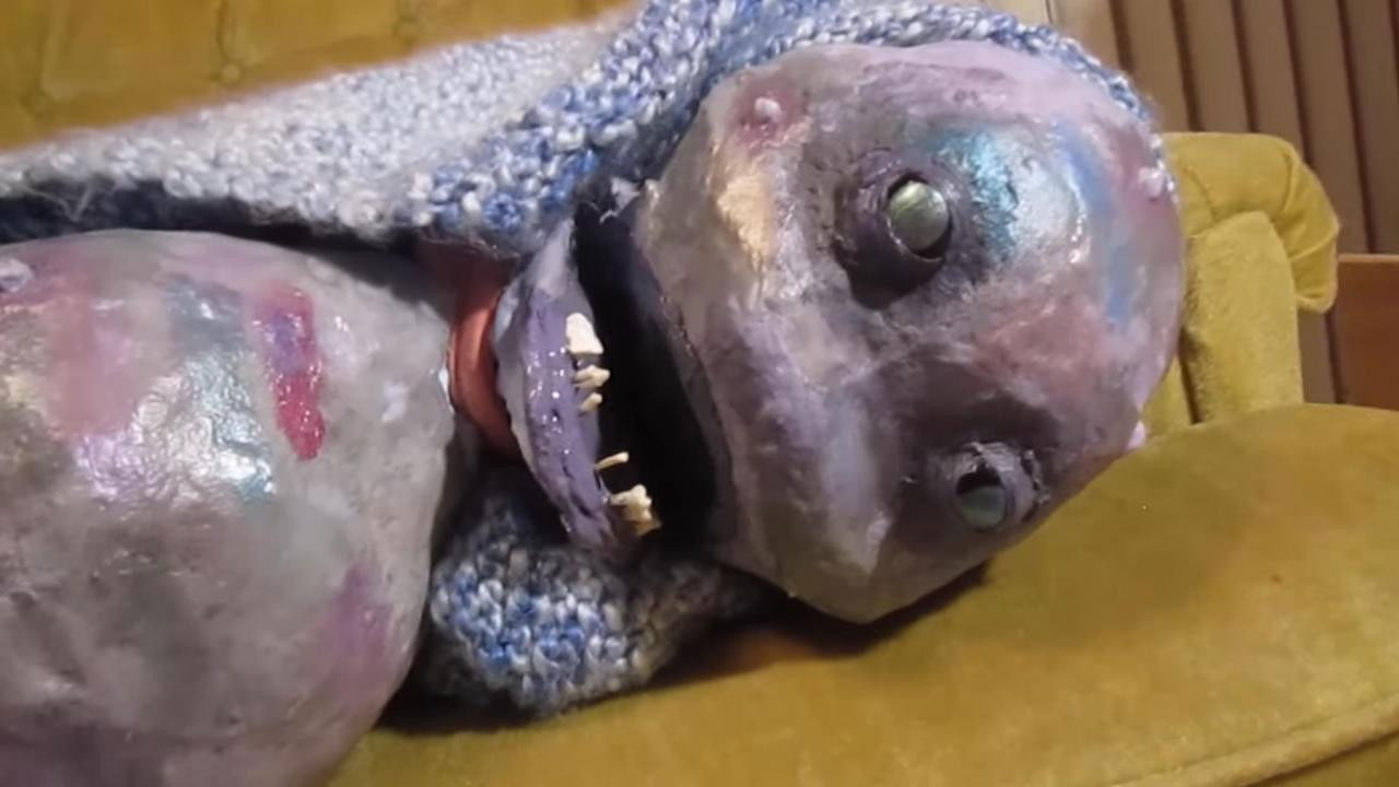 Backdrop for Daisy Brown