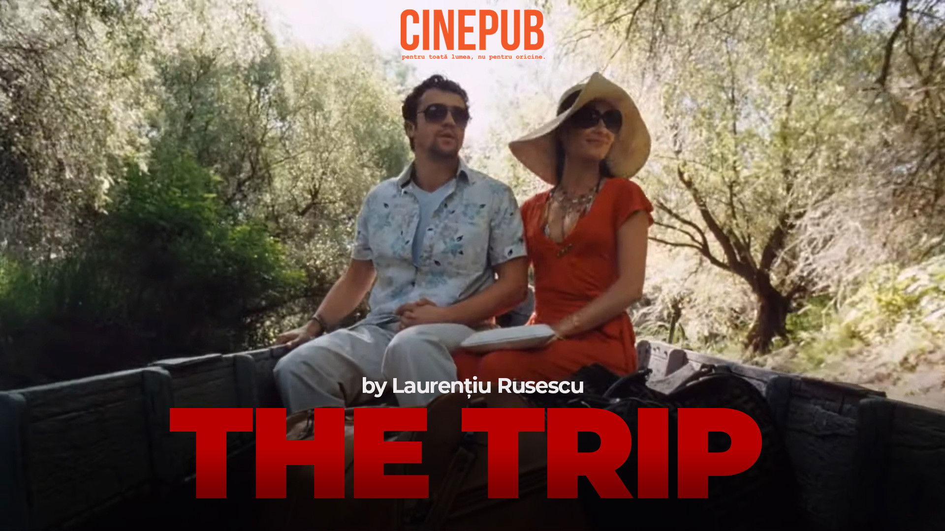 Backdrop for The Trip