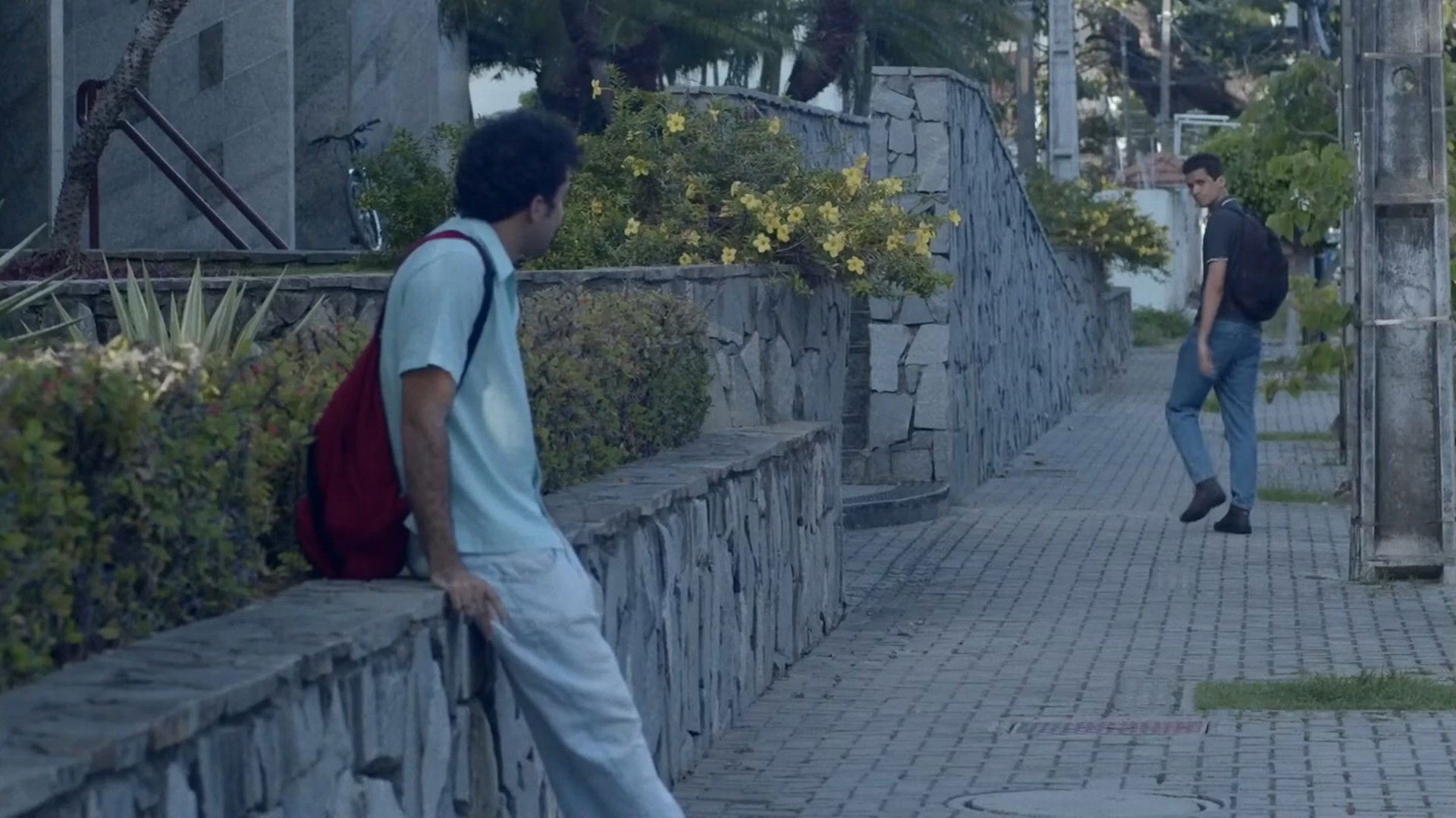 Backdrop for Morning Has Broken