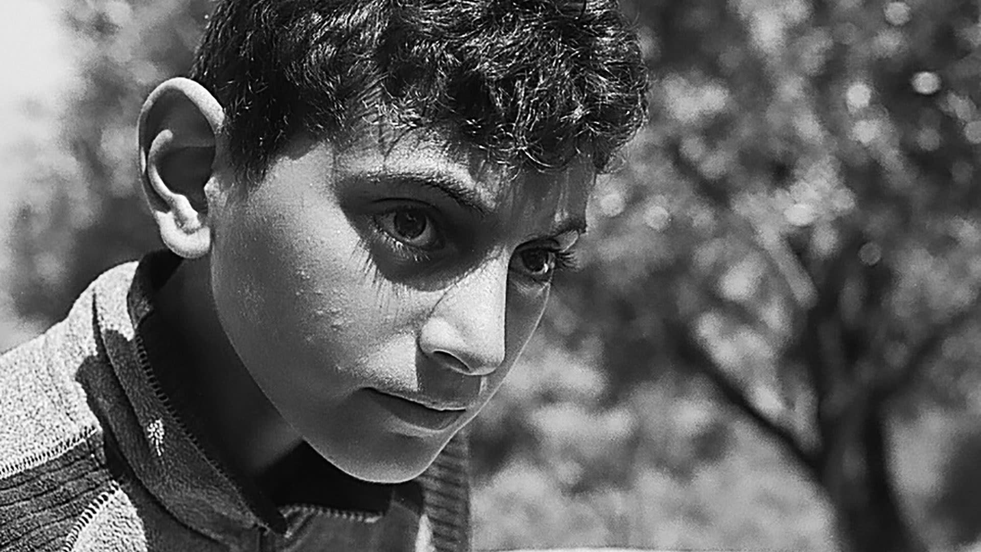 Backdrop for You All Are Captains