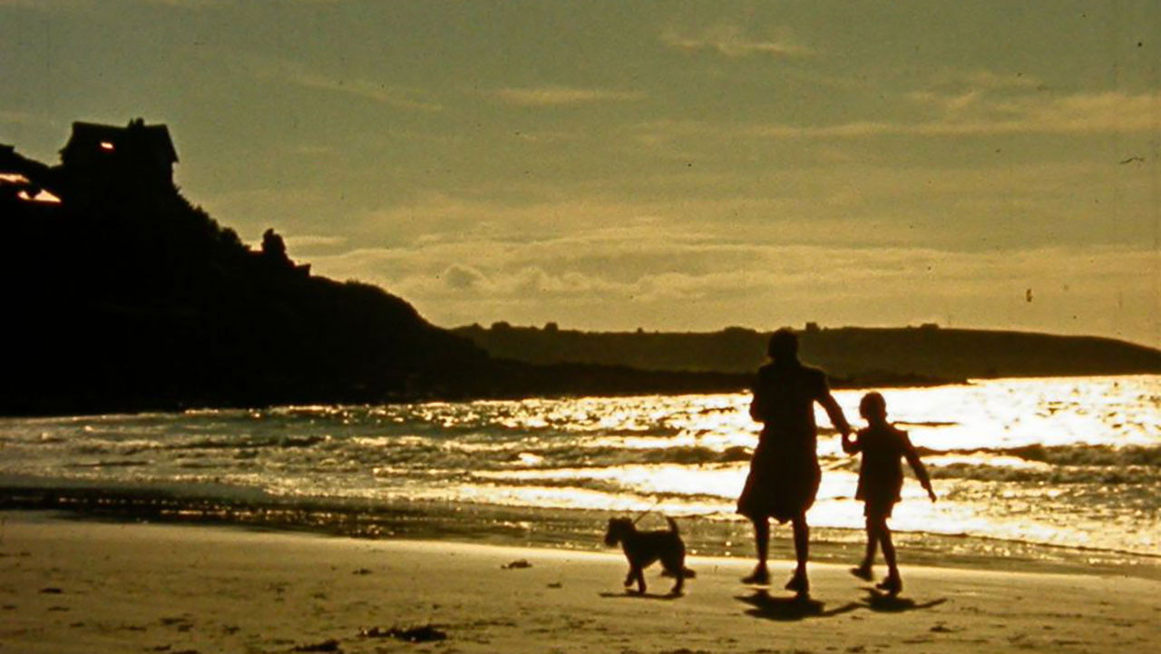 Backdrop for France 1939: One Last Summer