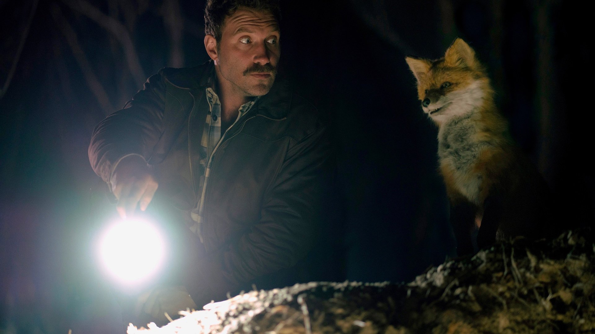 Backdrop for The Fox