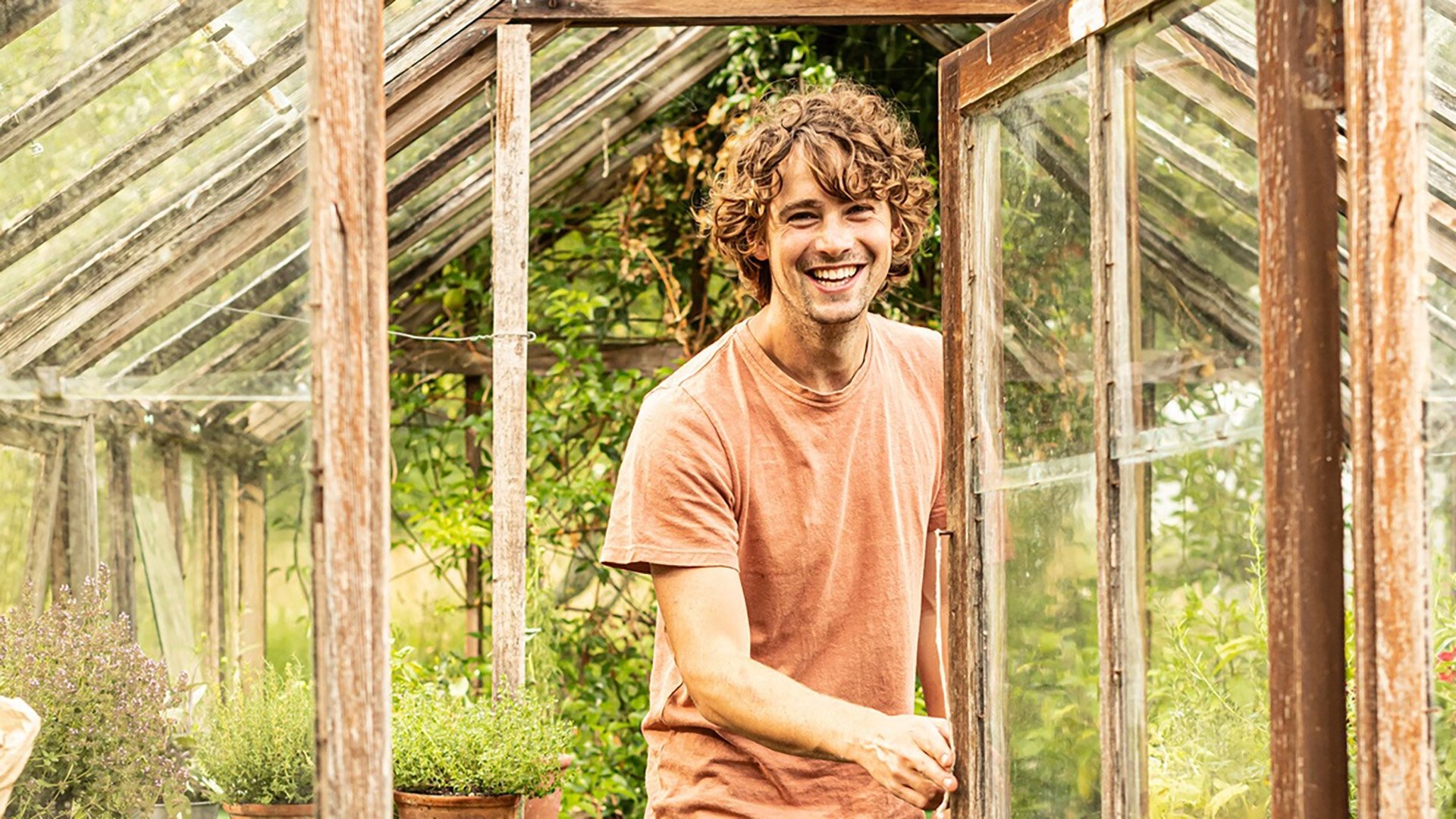 Backdrop for A Taste of the Country