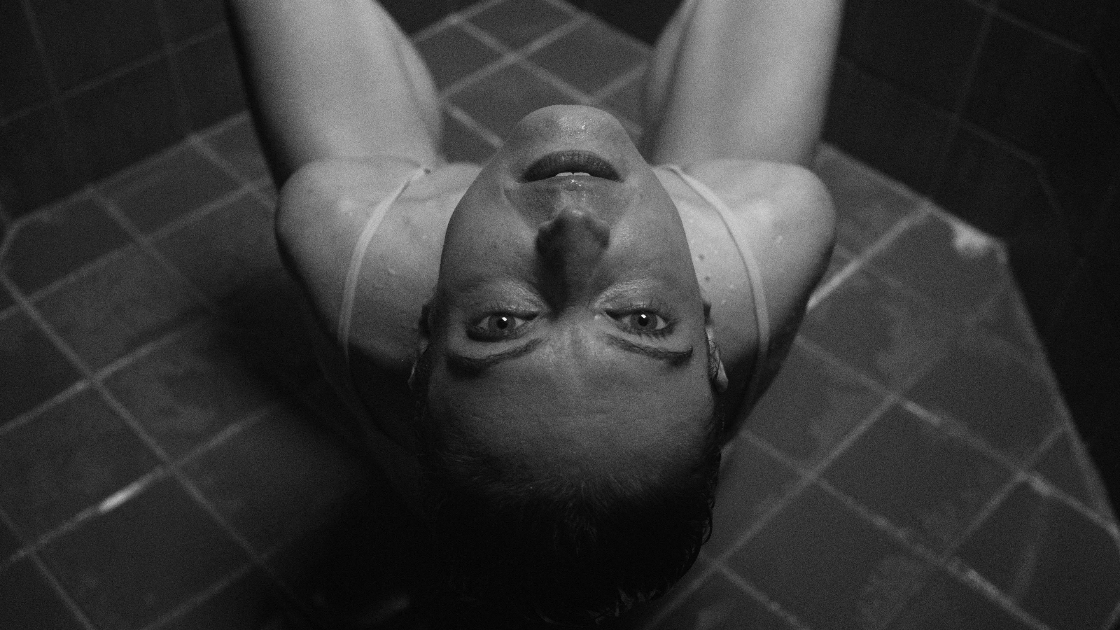 Backdrop for Evidence of it All