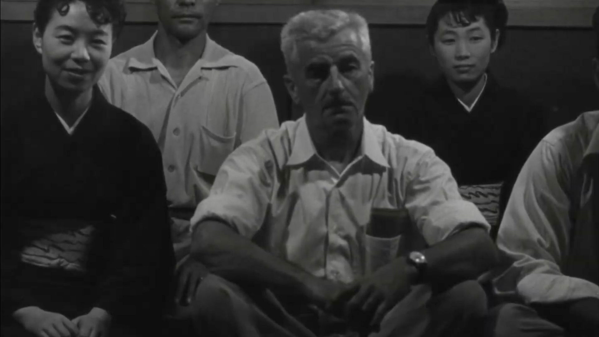 Backdrop for Impressions of Japan