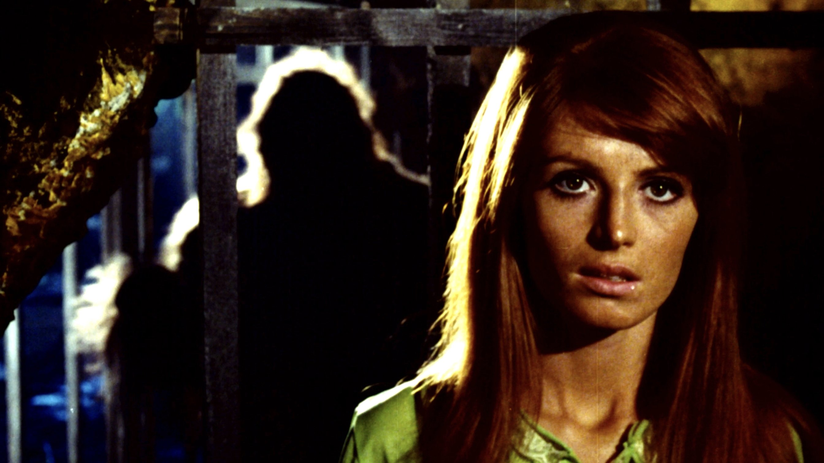 Backdrop for King of Kong Island