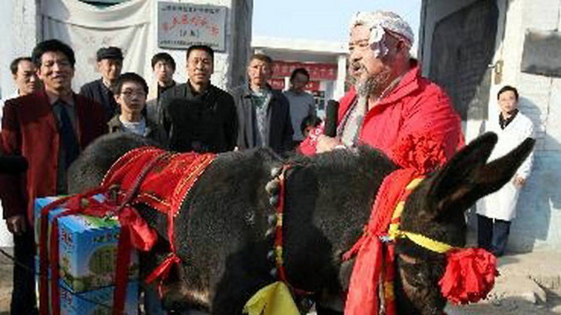 Backdrop for Blowing Niu Sanniu