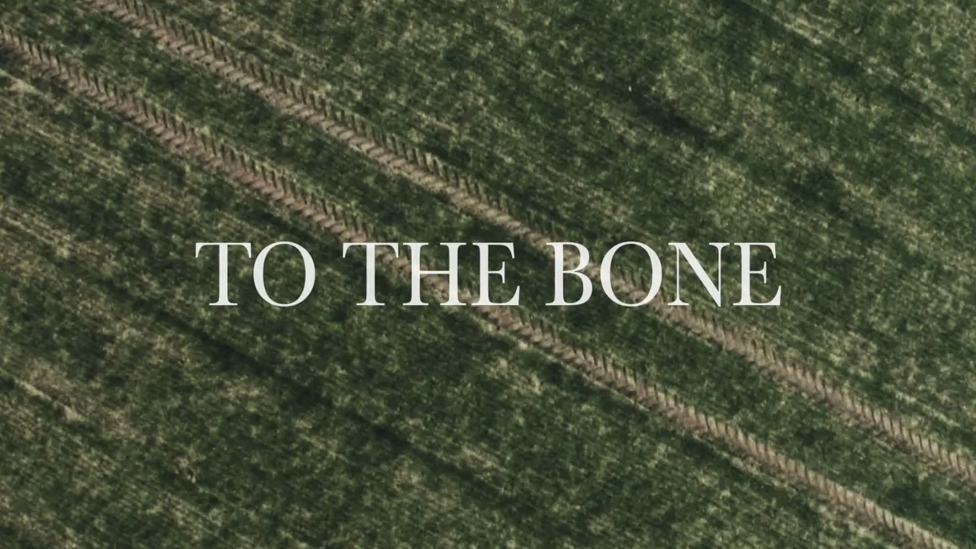 Backdrop for To the Bone