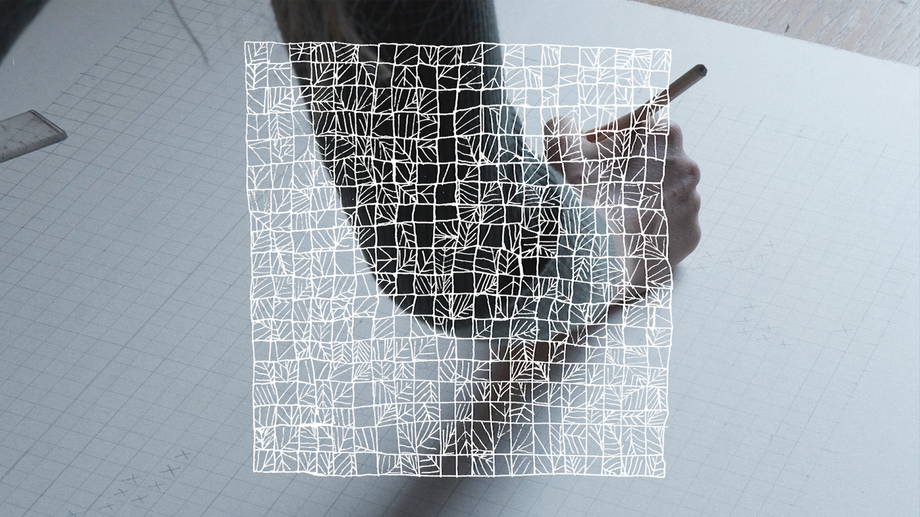 Backdrop for Square Fieldwork