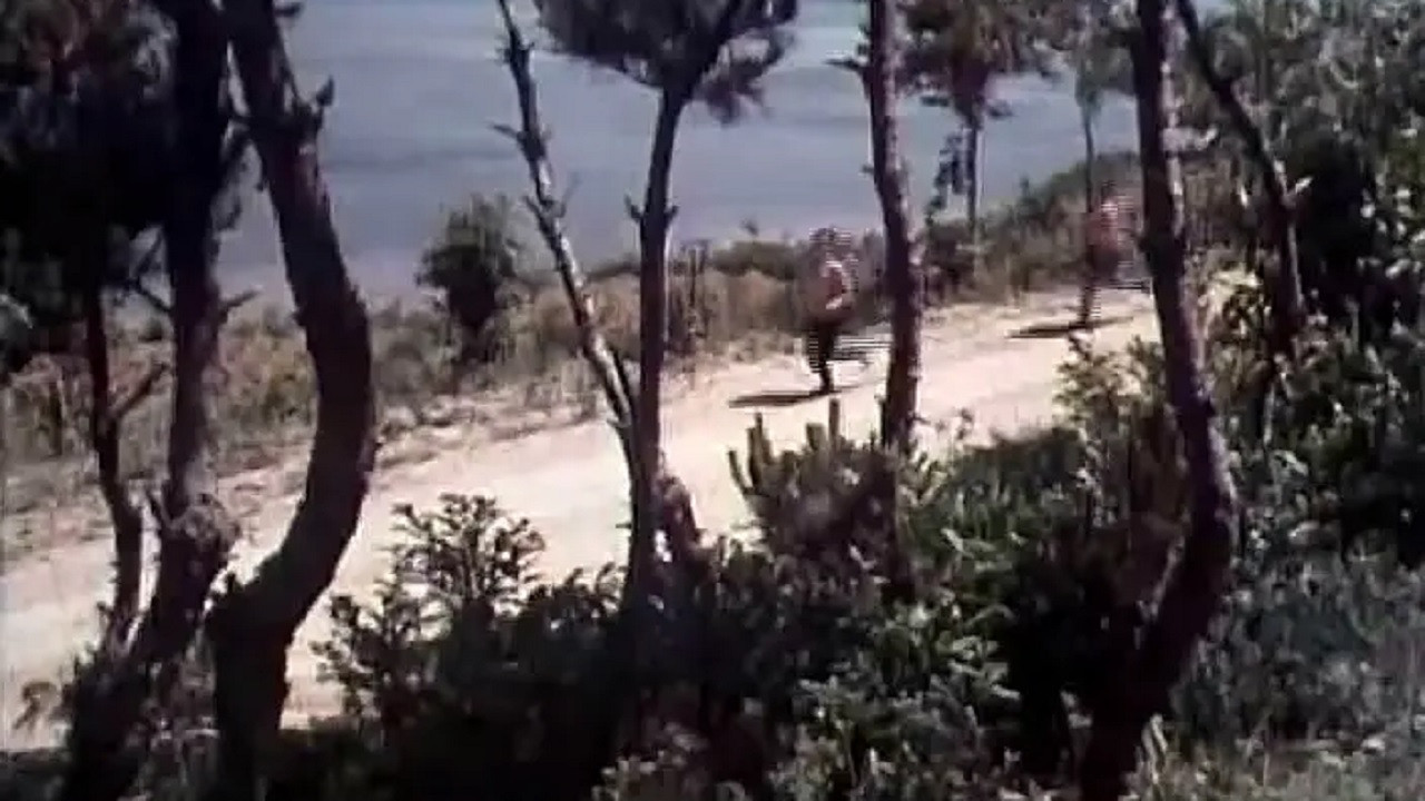 Backdrop for Hai shang ming zhu