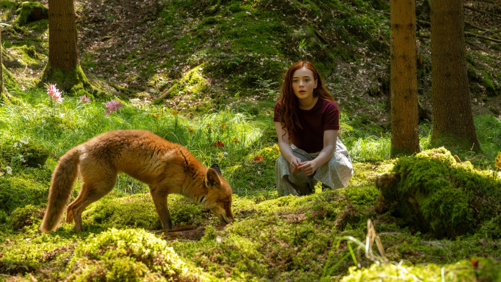 Backdrop for A Girl Named Willow