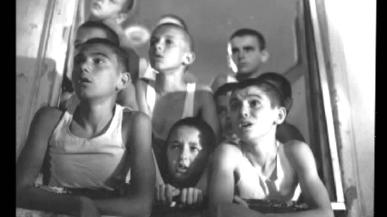 Backdrop for Red Poppies on the Wall