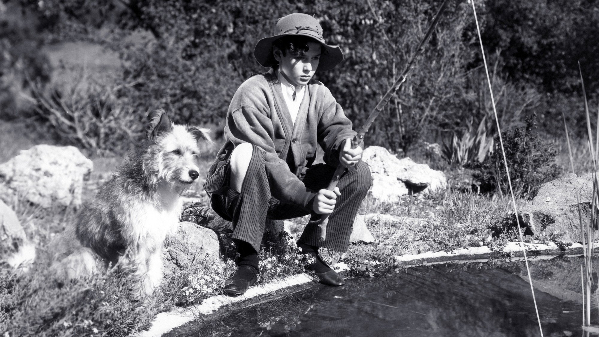 Backdrop for Dangerous Holiday