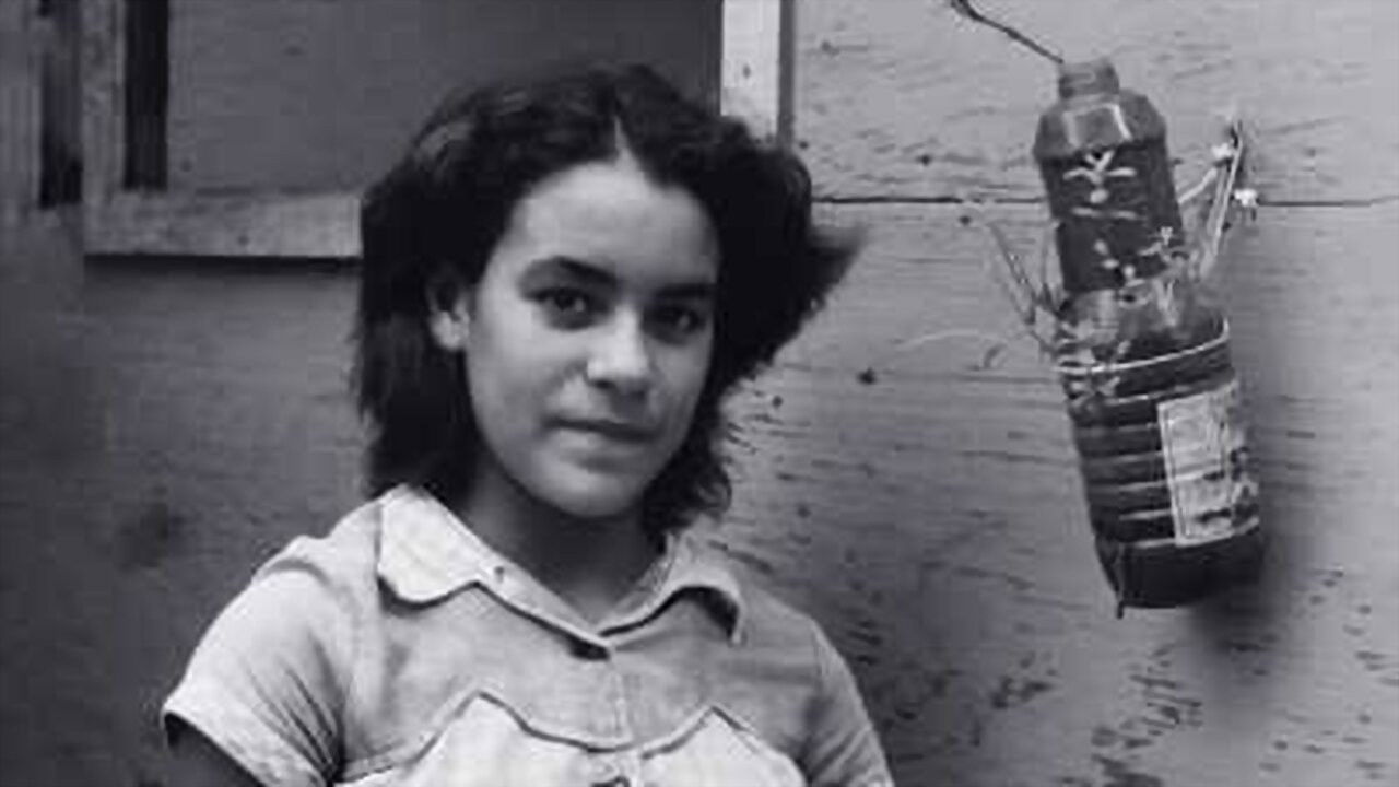 Backdrop for O Porto de Santos